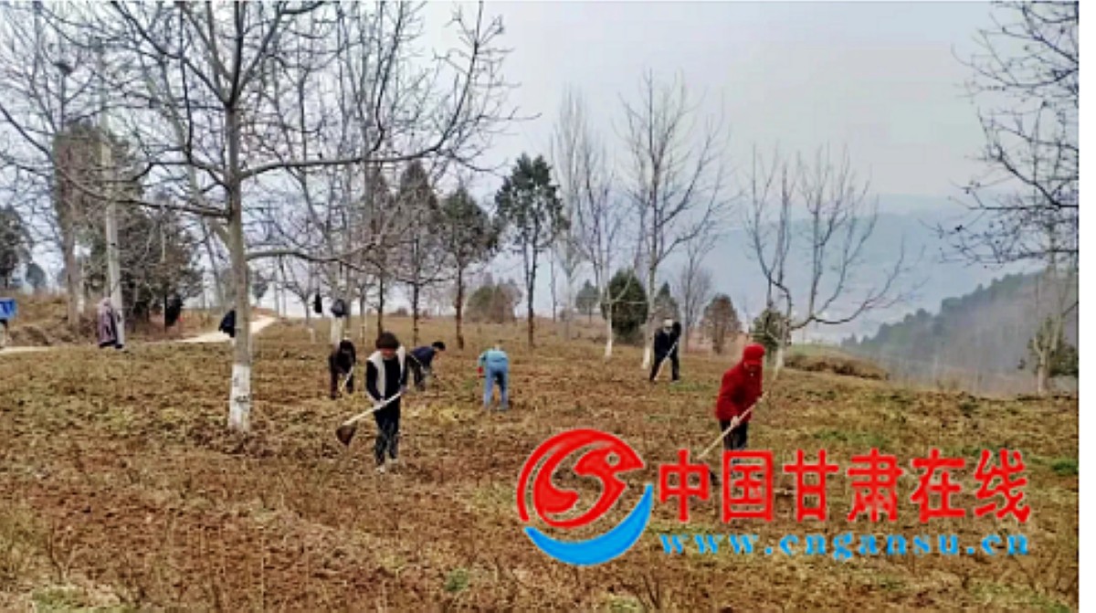 fc0f18e0a4e7c2e3cab5c29fd8f34008.jpg nEO_IMG_图片31.jpg