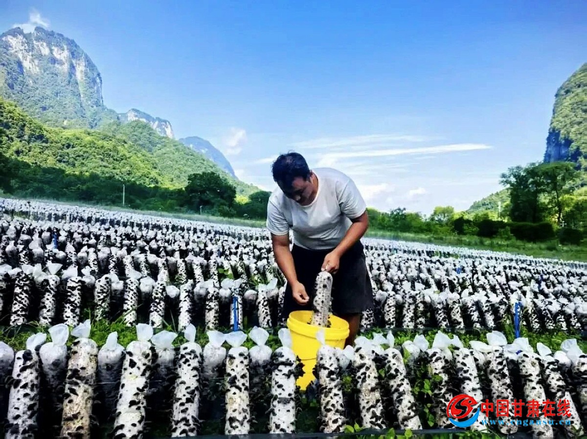 fa5a68ca5f42ea78c14969d359bb23ea.jpg nEO_IMG_图片25.jpg