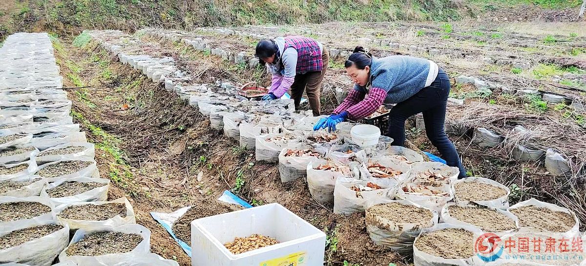 6d3f992c2894a34814724870f30d03cd.jpg nEO_IMG_图片49.jpg