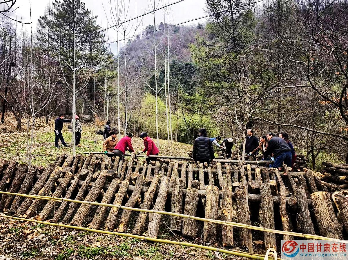 85bb66678c883ccd8bde27bddf3d8e70.jpg nEO_IMG_图片44.jpg