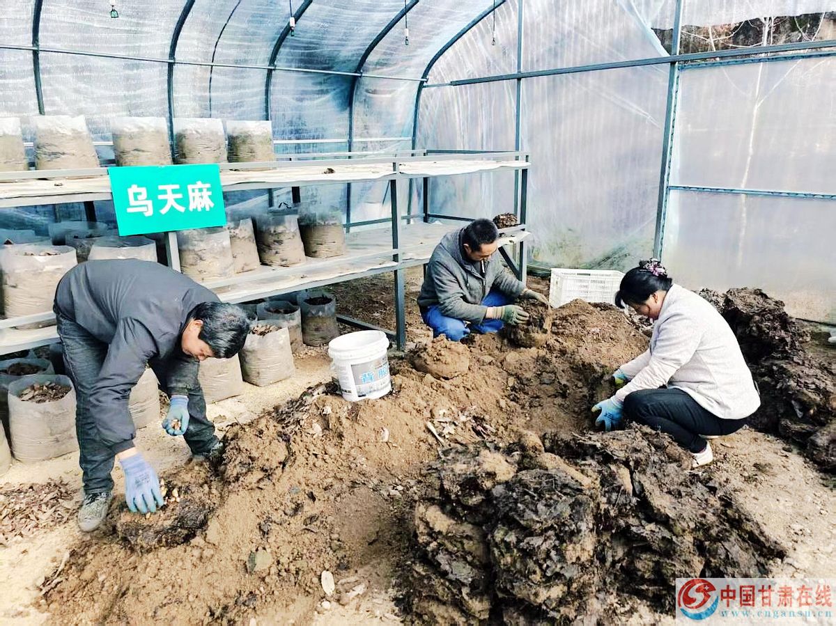 9e0ca093ac5b2f374f2b150bd6cfdcea.jpg nEO_IMG_图片47.jpg