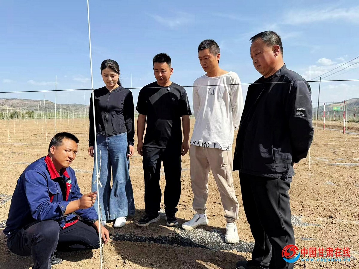 aec983b063db994cca3723d2995f0ae4.jpg nEO_IMG_图片3.jpg