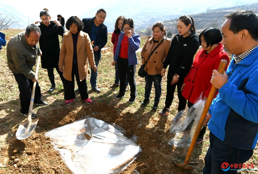 DAD_8603 - 复件.JPG