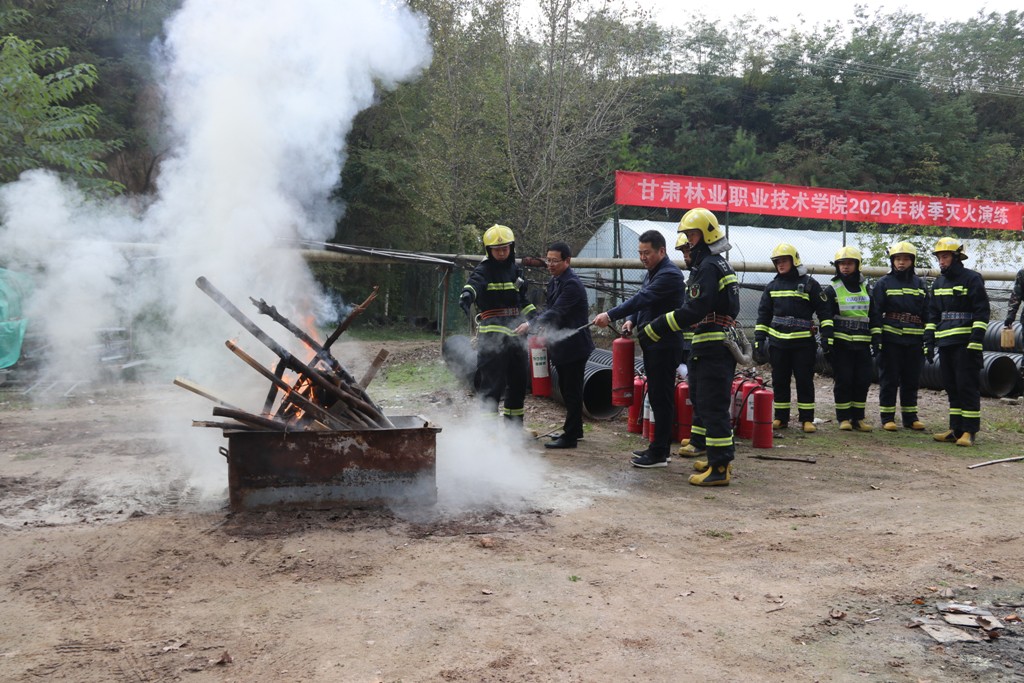 247e60bb6e46ce03af900fa52b13dd5f.jpg IMG_8233.JPG