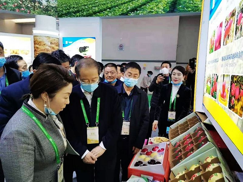 391f222c9600f1e0dc98ce611b4d7716.jpg nEO_IMG_838fdac765665e2.jpg