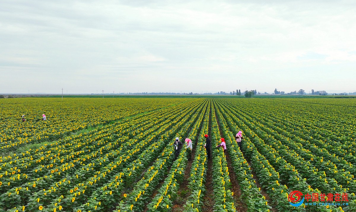 59c9408d77a6472e1e5c61777809f377.jpg nEO_IMG_图片2.jpg