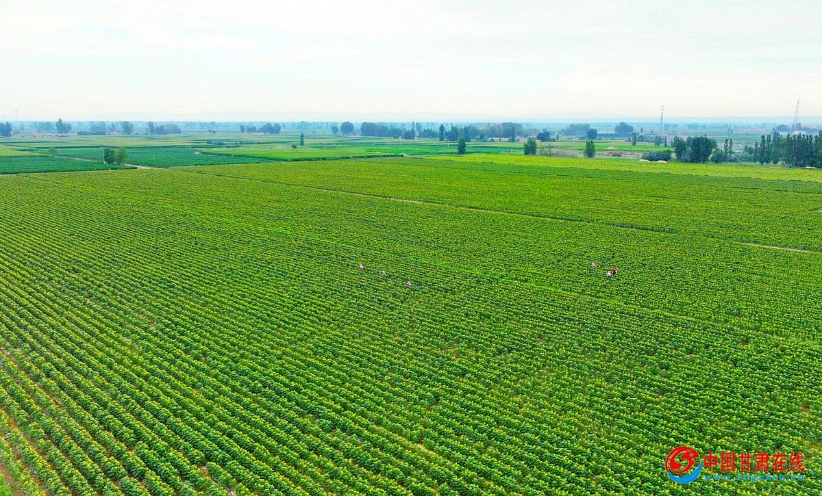 85360939f773c5c649887990868aa279.jpg nEO_IMG_图片3.jpg