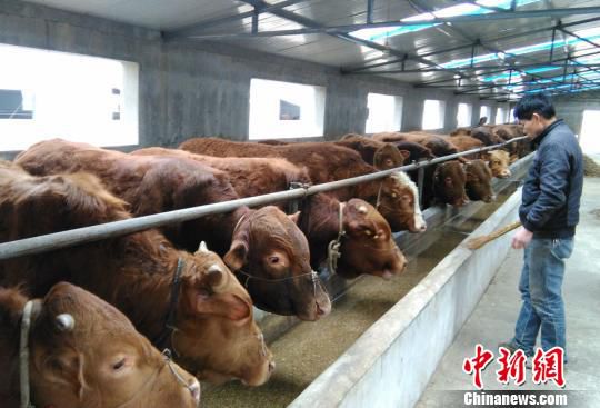 <a href=http://www.cngansu.cn/news/ target=_blank class=infotextkey></a>ũҵѭҵֺţΪ