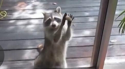 ���ĸ��˫����ʯ��վ������Ϊ������ʳ