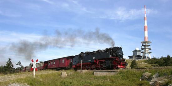 ����Ĺ���