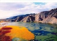 �౱�ɹ���������