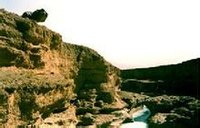 �౱�ɹ���������