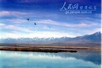 �౱�ɹ���������