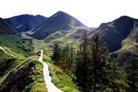 ��¹ɽ����ɭ�ֹ�԰