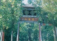 ����ͨ������ɽ