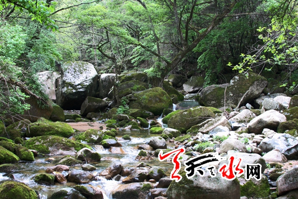 6357741240188874089722170.jpg 6357741240188874089722170.jpg