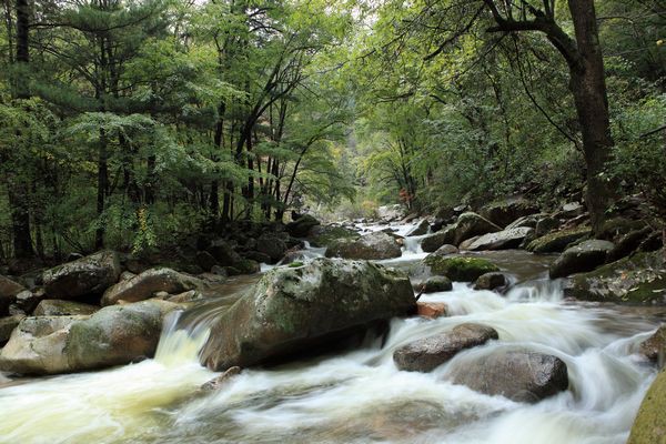 20120312-093751-7265.jpg 20120312-093751-7265.jpg