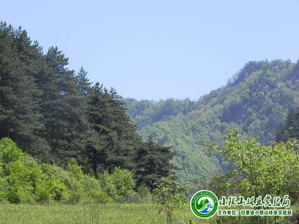 552724d8d1cef.jpg 552724d8d1cef.jpg