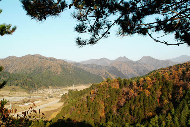 01300537029399139188563636118.jpg 01300537029399139188563636118.jpg